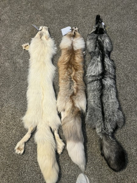Premium Ranch Fox Hides