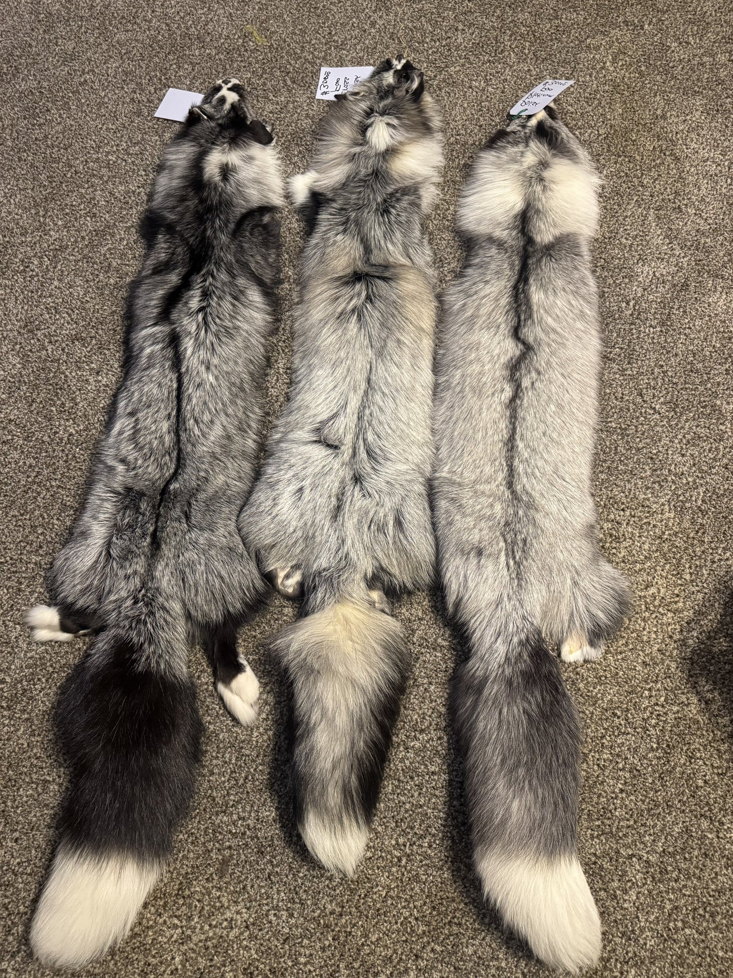 Premium Ranch Fox Hides